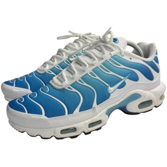Nike Air Max TN (9)