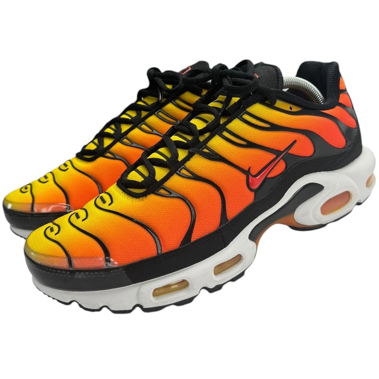 Nike Air Max TN Tiger (9)