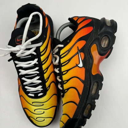 Nike Air Max TN Tiger (7)