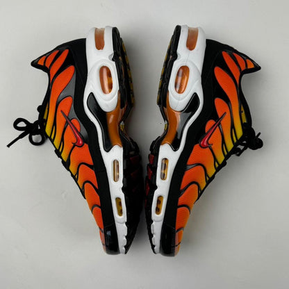 Nike Air Max TN Tiger (9)